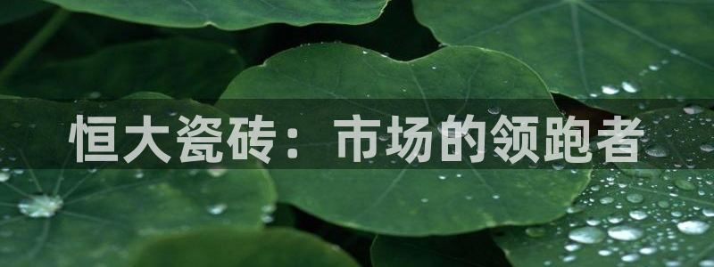 杏鑫平台注册登录