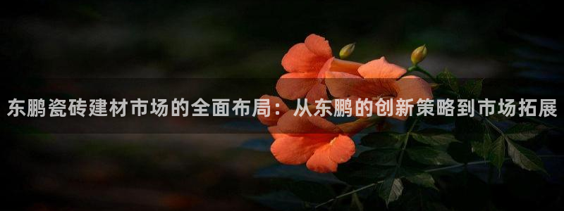 杏鑫平台代理注册流程图