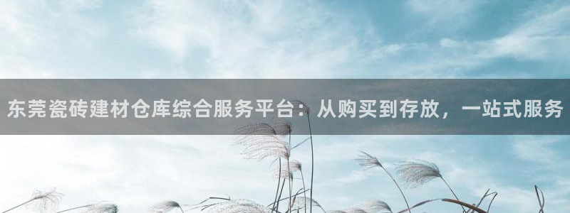 杏鑫平台代理注册流程视频