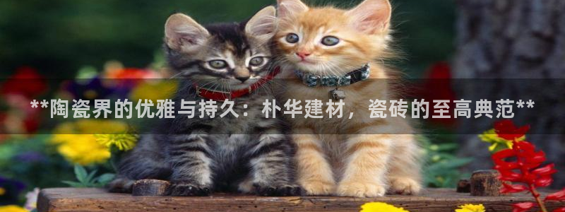 杏鑫注册平台官方网站