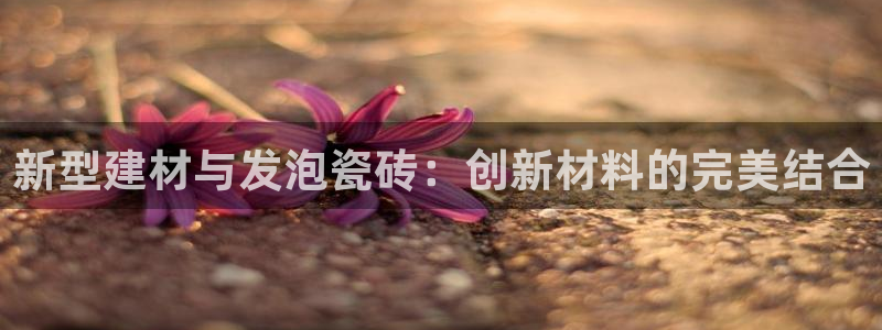 杏鑫平台注册入口在哪