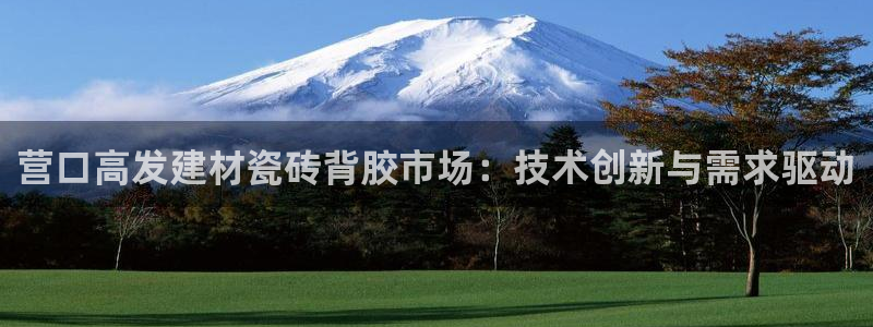 杏鑫代理注册资金多少