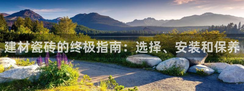 杏鑫注册登录地址