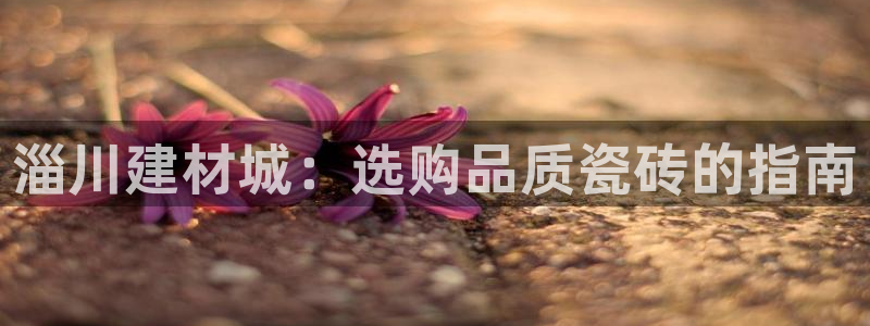 杏鑫平台线路测速