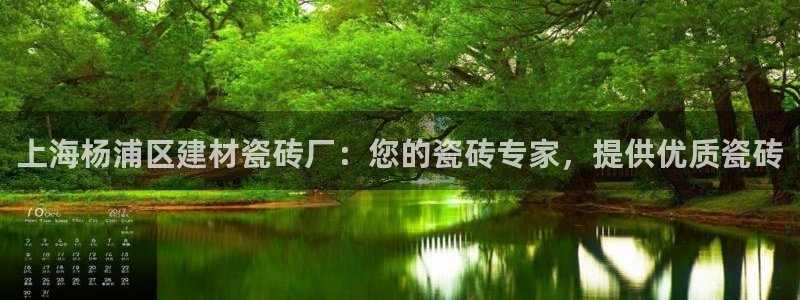 杏鑫平台在线注册流程