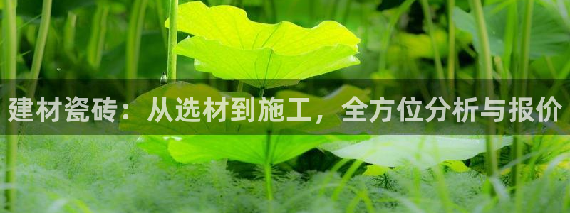 杏鑫平台在线注册怎么注册