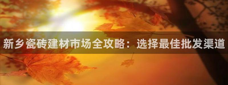 杏鑫平台下载安装