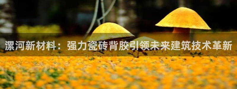 杏鑫官网注册账号怎么注册