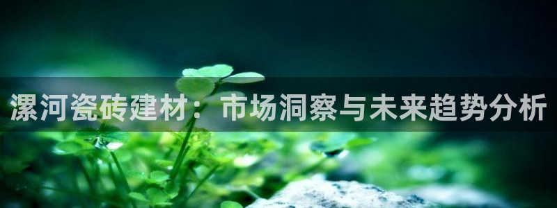 杏鑫平台代理注册流程图