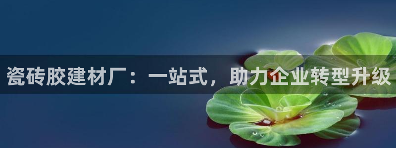 杏鑫平台代理注册多少钱一年