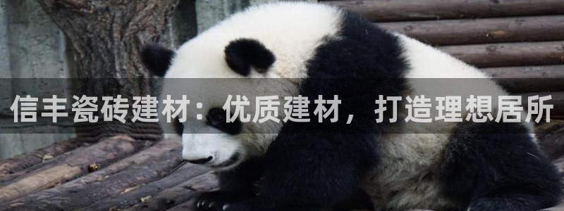 杏鑫娱乐怎么样