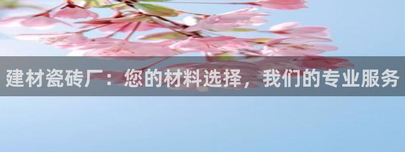 杏鑫官方平台怎么样