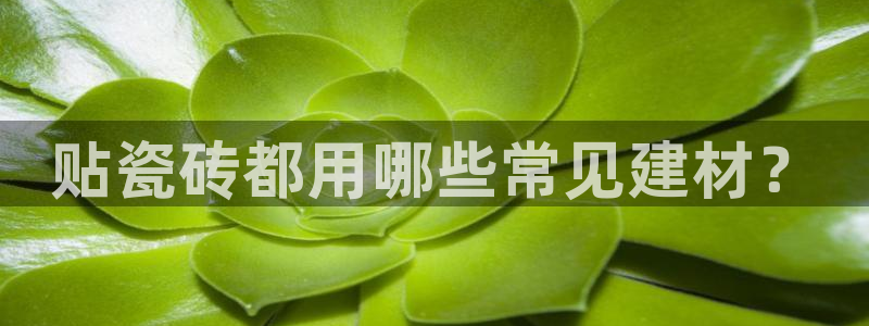 杏鑫官网注册账号密码忘了